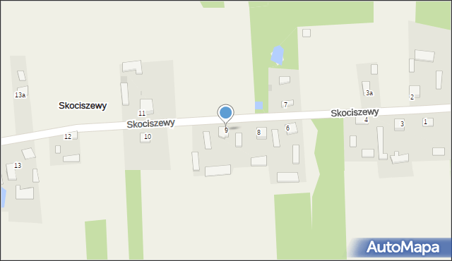 Skociszewy, Skociszewy, 9, mapa Skociszewy