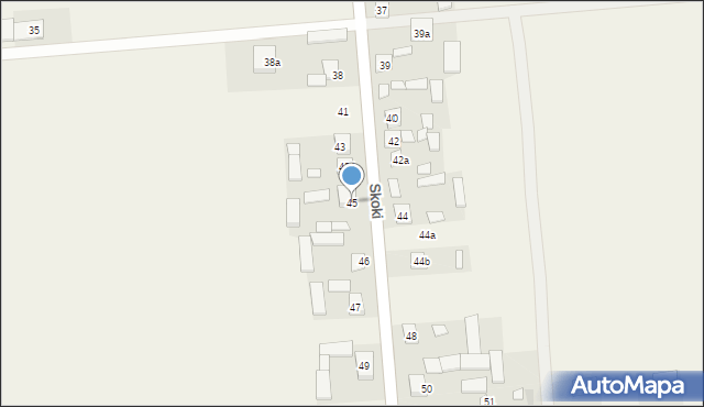 Skoki, Skoki, 45, mapa Skoki