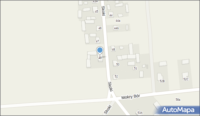Skoki, Skoki, 49, mapa Skoki