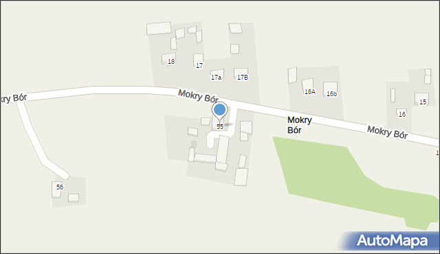 Skoki, Skoki, 55, mapa Skoki