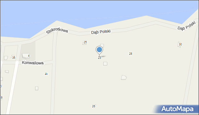 Skoki Duże, Skoki Duże, 23, mapa Skoki Duże