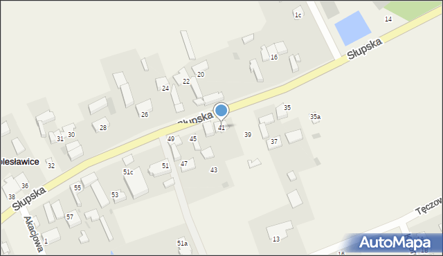 Bolesławice, Słupska, 41, mapa Bolesławice
