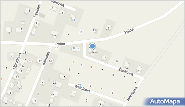 Borek Strzeliński, Śliwkowa, 10, mapa Borek Strzeliński