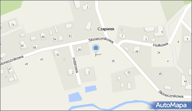 Czapielsk, Słonecznikowa, 37, mapa Czapielsk