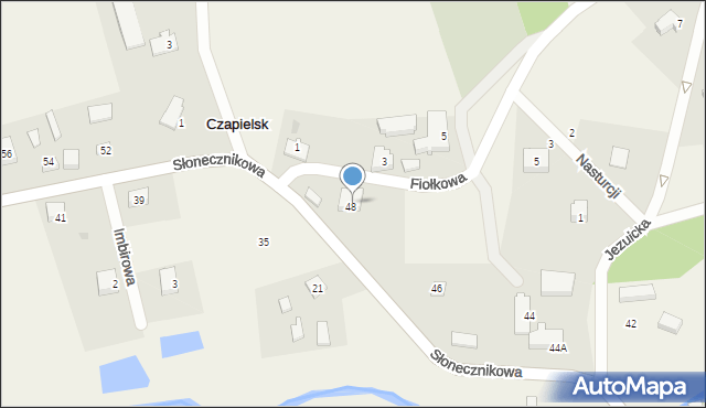 Czapielsk, Słonecznikowa, 50, mapa Czapielsk