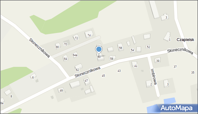 Czapielsk, Słonecznikowa, 60, mapa Czapielsk