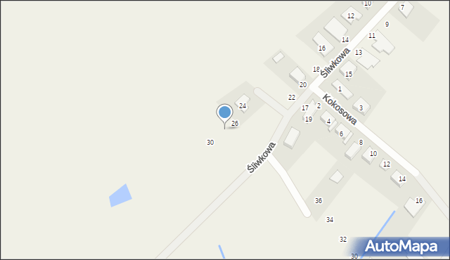 Dąbrowa, Śliwkowa, 28, mapa Dąbrowa