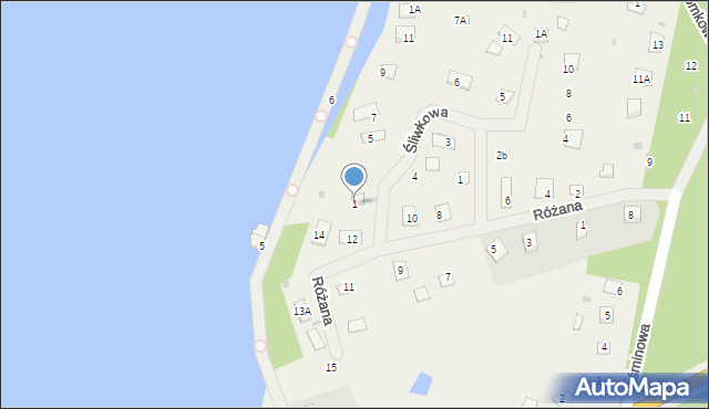 Dłużek, Śliwkowa, 1, mapa Dłużek