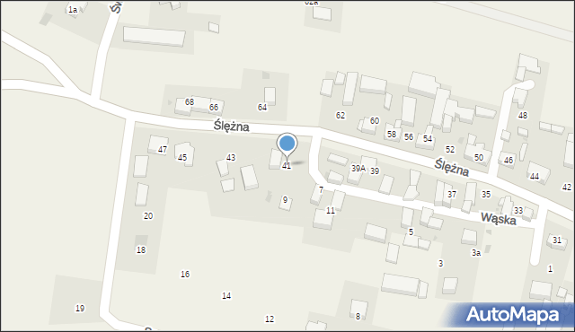 Oleszna, Ślężna, 41, mapa Oleszna