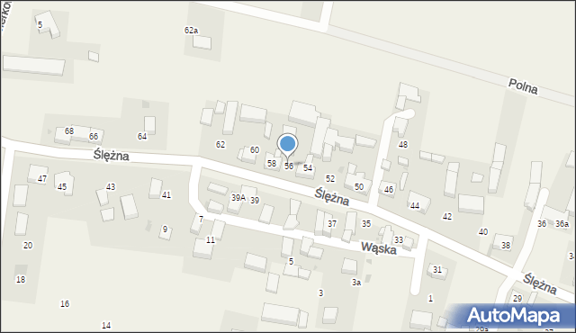 Oleszna, Ślężna, 56, mapa Oleszna