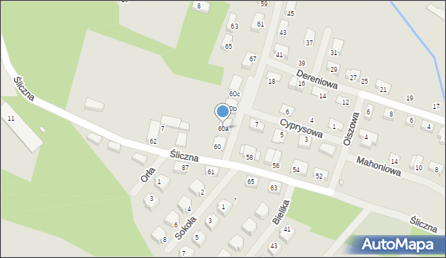 Opole, Śliczna, 60a, mapa Opola