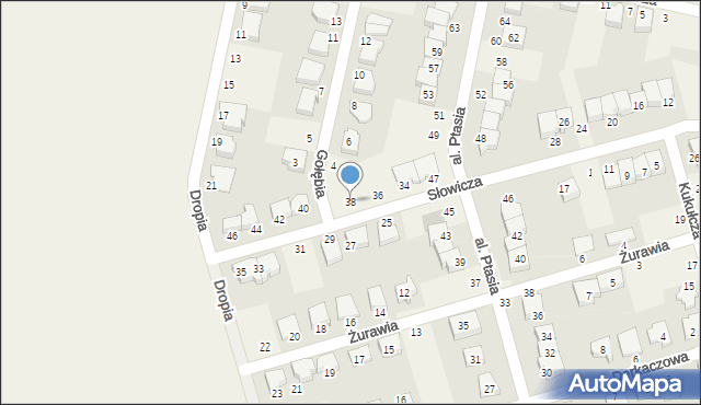 Przeźmierowo, Słowicza, 38, mapa Przeźmierowo