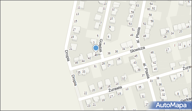 Przeźmierowo, Słowicza, 40, mapa Przeźmierowo