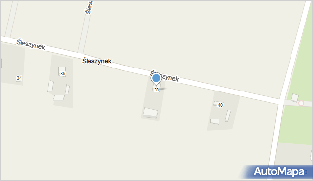 Śleszynek, Śleszynek, 38, mapa Śleszynek