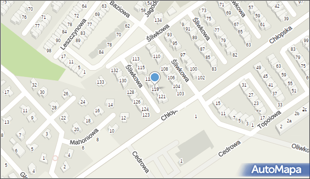 Smolec, Śliwkowa, 119, mapa Smolec