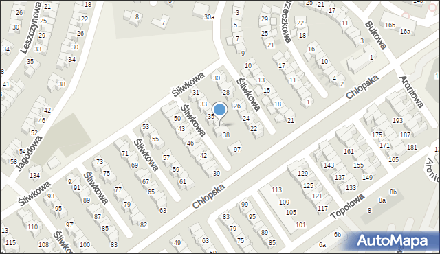 Smolec, Śliwkowa, 37, mapa Smolec