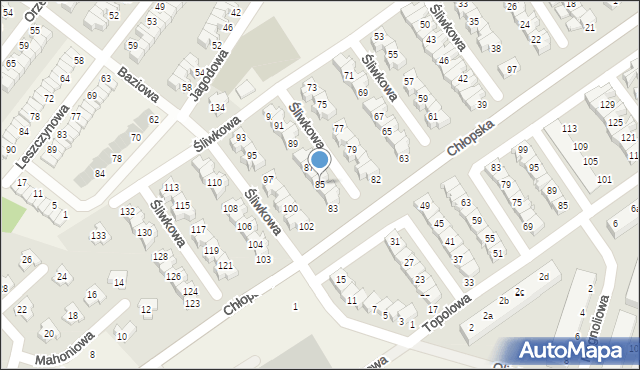 Smolec, Śliwkowa, 85, mapa Smolec