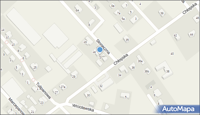 Smolec, Słoneczna, 1, mapa Smolec