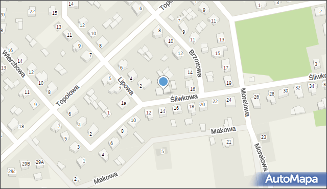 Stare Miasto, Śliwkowa, 1, mapa Stare Miasto