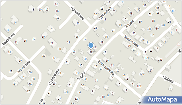 Tychy, Śląska, 39, mapa Tychów