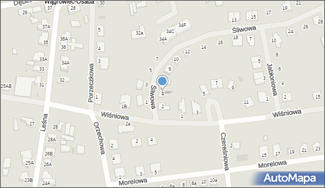 Wągrowiec, Śliwowa, 4, mapa Wągrowiec