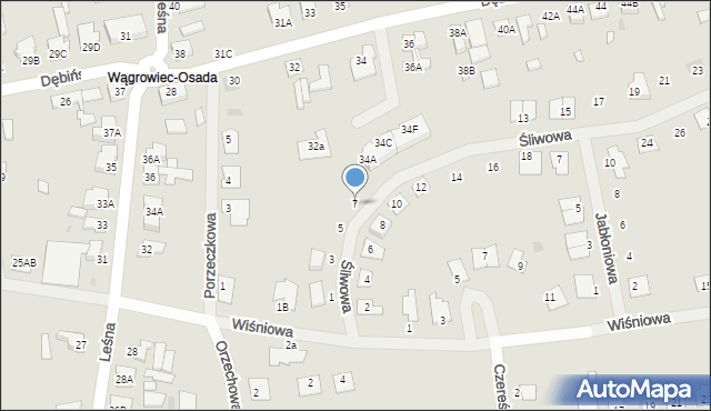 Wągrowiec, Śliwowa, 7, mapa Wągrowiec