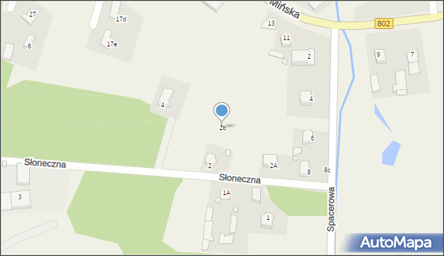 Wielgolas, Słoneczna, 2b, mapa Wielgolas