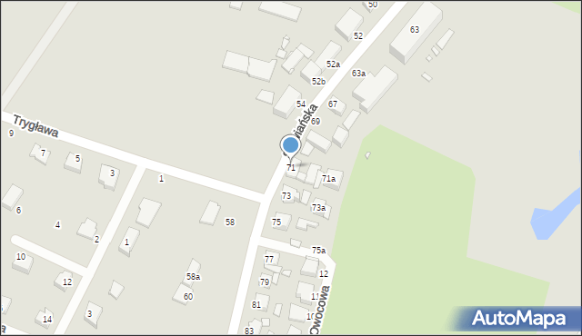 Wolin, Słowiańska, 71, mapa Wolin