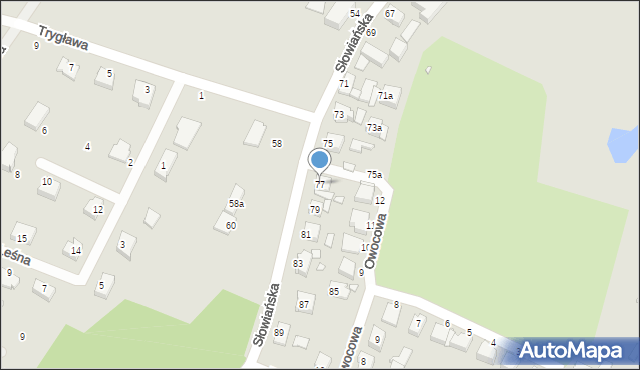 Wolin, Słowiańska, 77, mapa Wolin