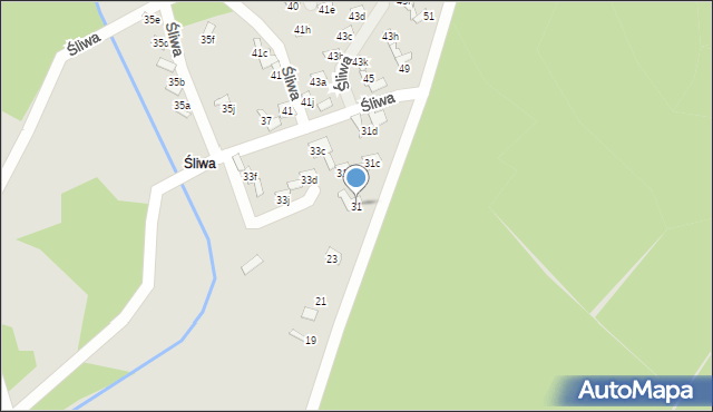 Woźniki, Śliwa, 31, mapa Woźniki
