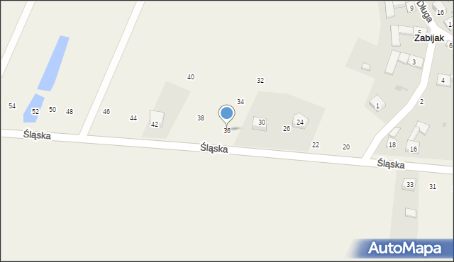 Zabijak, Śląska, 36, mapa Zabijak