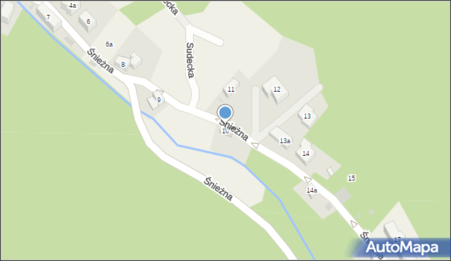 Międzygórze, Śnieżna, 10, mapa Międzygórze