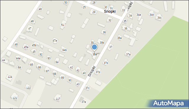 Snopki, Snopki, 39a, mapa Snopki