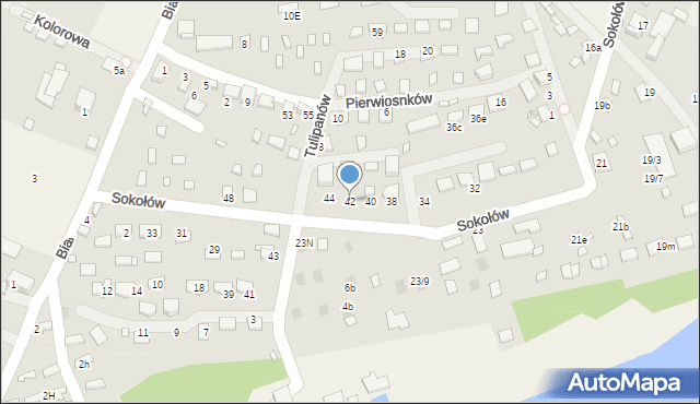 Boguchwałowice, Sokołów, 42, mapa Boguchwałowice