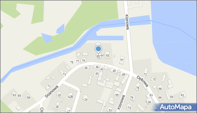 Borków, Sosnowa, 81, mapa Borków