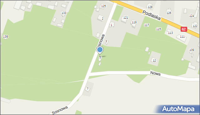 Borzychy, Sosnowa, 5, mapa Borzychy