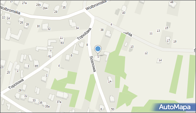 Bydlin, Sosnowa, 1, mapa Bydlin