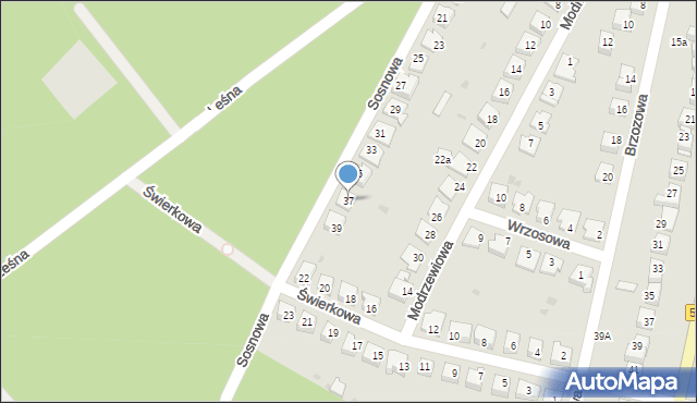 Golub-Dobrzyń, Sosnowa, 37, mapa Golub-Dobrzyń