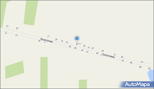 Grębiszew, Sosnowa, 37, mapa Grębiszew