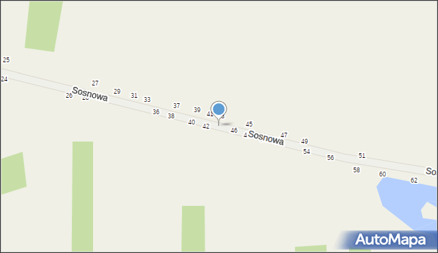 Grębiszew, Sosnowa, 44, mapa Grębiszew