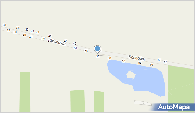 Grębiszew, Sosnowa, 58, mapa Grębiszew