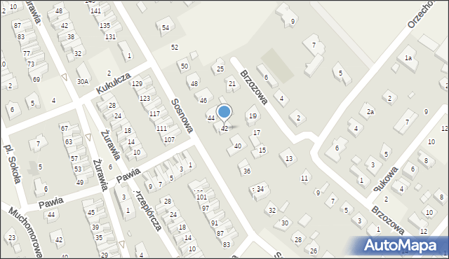 Jelonek, Sosnowa, 42, mapa Jelonek