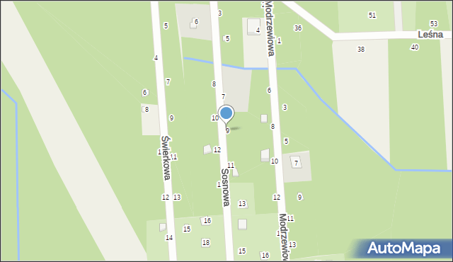 Nowy Prażmów, Sosnowa, 9, mapa Nowy Prażmów