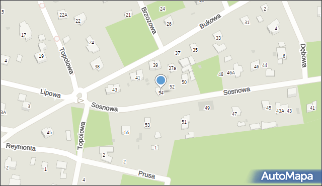 Podkowa Leśna, Sosnowa, 54, mapa Podkowa Leśna