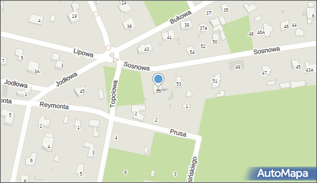 Podkowa Leśna, Sosnowa, 55, mapa Podkowa Leśna