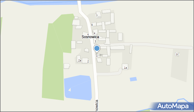 Sosnowica, Sosnowica, 1, mapa Sosnowica