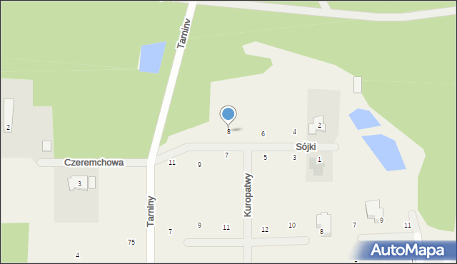 Stara Wieś, Sójki, 8, mapa Stara Wieś