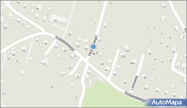 Strzyżów, Sobieskiego, 48, mapa Strzyżów