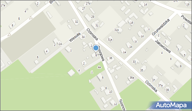 Szczedrzyk, Sosnowa, 4, mapa Szczedrzyk