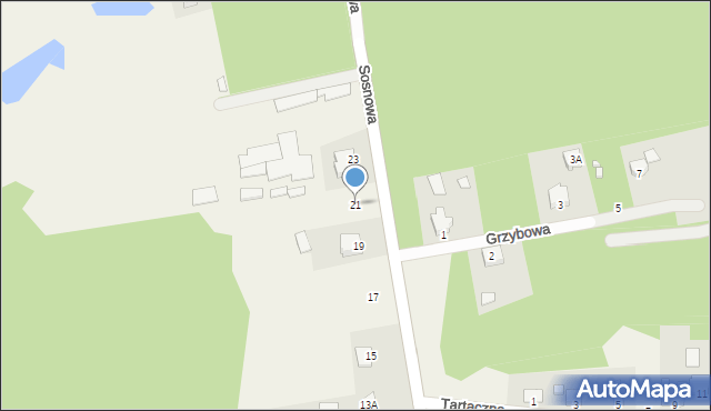 Waliły-Stacja, Sosnowa, 21, mapa Waliły-Stacja